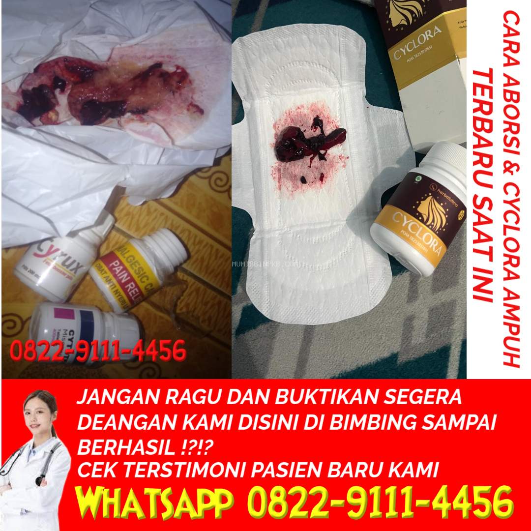 Jual Obat Aborsi Asli Bayar Ditempat di Bandung 082291114456 Harga Obat Cytotec 400 mcg di Apotik K24 Bandung COD